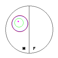 Bill's chart, with all circles on the male side.