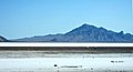 July 8: After a night in Wendover, on the Nevada/Utah border, we drive across the Utah salt flats. - Except for telephone poles and cell towers, there was nothing but white salt for 99 miles.