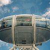 Looking up at the capsule above us