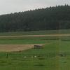 A view of the countryside as seen from the car window.