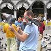 The pigeons are tame and allow the - tourists to feed and handle them.