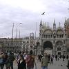 A wide shot of Saint Mark's Square showing the clock tower with the Basilica on the right.