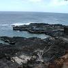 Much of the coast here is lined with lava rock.
