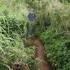 A path through sugarcane to a local swimming hole and waterfall.