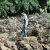 There were lots of lava rocks to walk over.