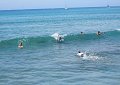 A view of the swimmers and surfers at the end of the pier.