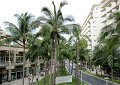 Saturday, April 18 -- There were palm trees everywhere.