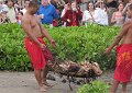 The cooked pork we'll soon be eating at the luau buffet.