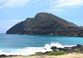 We walked to beautiful Makapuu Beach, located on the other side of the highway from Sea Life Park.