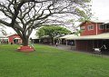 Wednesday, April 22 -- We took a tour to Kualoa Ranch where several movies - and TV shows have been filmed.  It's located in the northeastern part of Oahu.