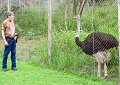 Larry checks out the ostrich.