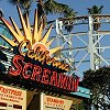 California Screamin'! - Several upcoming photos will be - of this awesome roller coaster.