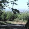 A view of the Lost Coast Road, just south of Ferndale. - We did not take the road very far because it - is twisty for many miles and has few views.