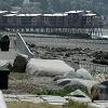 Friday, July 11 - Walking along the beach in West Seattle. - Note the apartment complex on the pier!