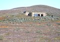 Wednesday, March 25 -- California Poppy Reserve visitors' center.