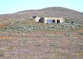 Wednesday, March 25 -- California Poppy Reserve visitors' center.