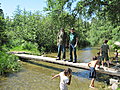 Bill and Larry stand on a small foot bridge over the Mississippi River