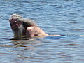 June 26: Bill's enjoying the cool water of Lake Michigan.