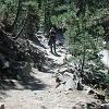 On the postpile trail between top and bottom