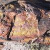 Petrified Forest, Arizona. - Look at the colors!
