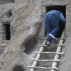 Bill climbs up the ladder to look inside the dwelling.