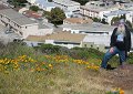 At Bill's feet, more California poppies bloom.