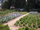 Vegetable garden at Mount Vernon