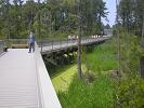 A walkway has been built above the marsh leading to the site of the original James Fort from 1607.