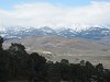 Looking west toward the Sierra.  The bridge you see is for the new U.S. 395 freeway that's under construction.