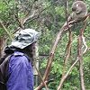 The koalas are our last stop