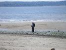 Norman looking for shells along the shore