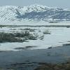 March 16 - After spending the night in Bridgeport, CA, we continued south on US 395.