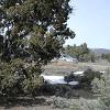 Near the entrance to the Bristle Cone Pine Forest off CA Route 168