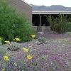 Outside the Visitors Center at Furnace Creek