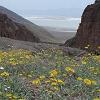 From the trail looking back at Badwater.