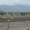 On the road out of the park we can look back at the mountains surrounding Telescope Peak.