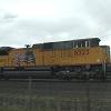 We saw lots of these Union Pacific trains as we passed through Cheyenne.