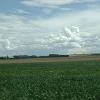 The area east of the Harz Mountains supports lots of agriculture.