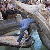 Bill takes a drink from the fountain