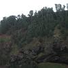 This area is all part of the Kilauea National Wildlife Refuge - and all of those white spots are birds.