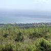 The town of Waimea and the coast as seen from the ridge above town.