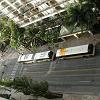 Looking down at Kuhio Avenue toward Lewers Street.