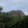 Diamond Head as seen from the park.