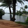 Looking west along the Ala Wai Canal