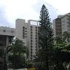 Our hotel, the Ohana Waikiki Malia. - Our room is in the center of the photo - to the left of the tall tree.
