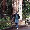 John L. by a redwood.