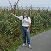 We stop to visit Paparoa National Park - near Punakaiki, where we see interesting plants...