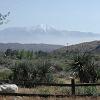 The view of Mt. San Jacinto from Jim's home. - That's Dick's home in the distance on the right.