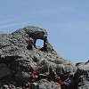 A window rock!