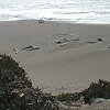 Now at that beach far below the lighthouse and to the north